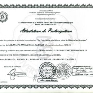buydegree from the Université Mohamed Boudiaf de M'sila