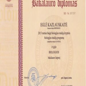 Buy Transcript Certificate from The Vytauto Didžiojo universitetas