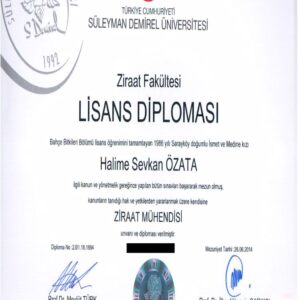 Buy Transcript Certificate from the Süleyman Demirel Üniversitesi