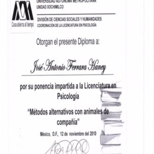 Buy Transcript Certificate from The Universidad Autónoma Metropolitana