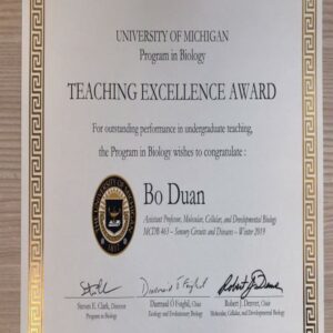 Buy Transcript Certificate from The University of Michigan